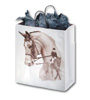 English
