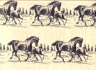 Special HORSE & FOAL TISSUE