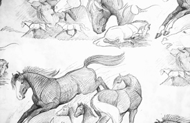 SKETCHBOOK HORSE